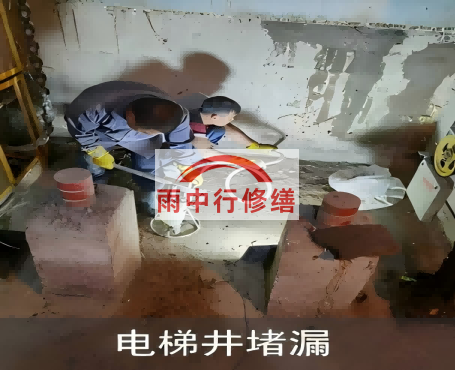 齐齐哈尔星雨华府电梯井堵漏案例